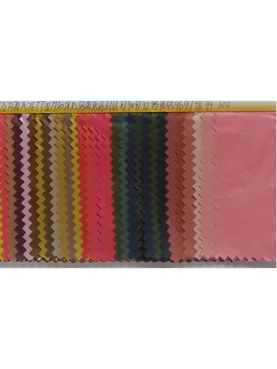 FS-CGFA 0191# 後面照